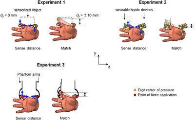 Linear Integration of Tactile and Non-tactile Inputs Mediates Estimation of Fingertip Relative Position